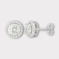 Halo Moissanite Earrings
